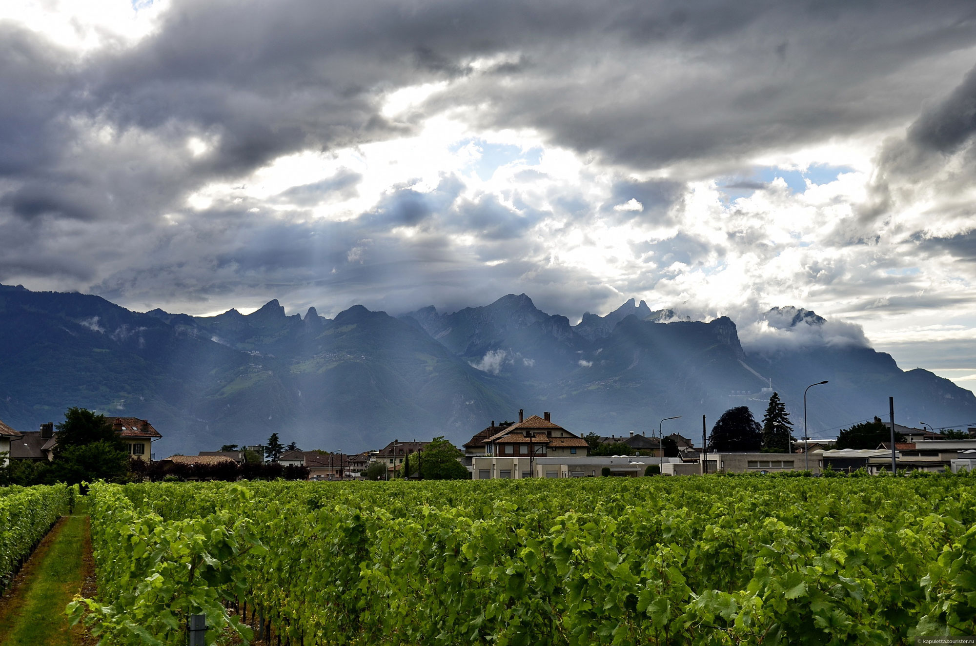 Aigle
